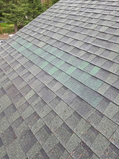 Shingles after repair