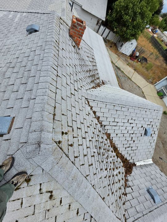 Roof covered in moss before removal